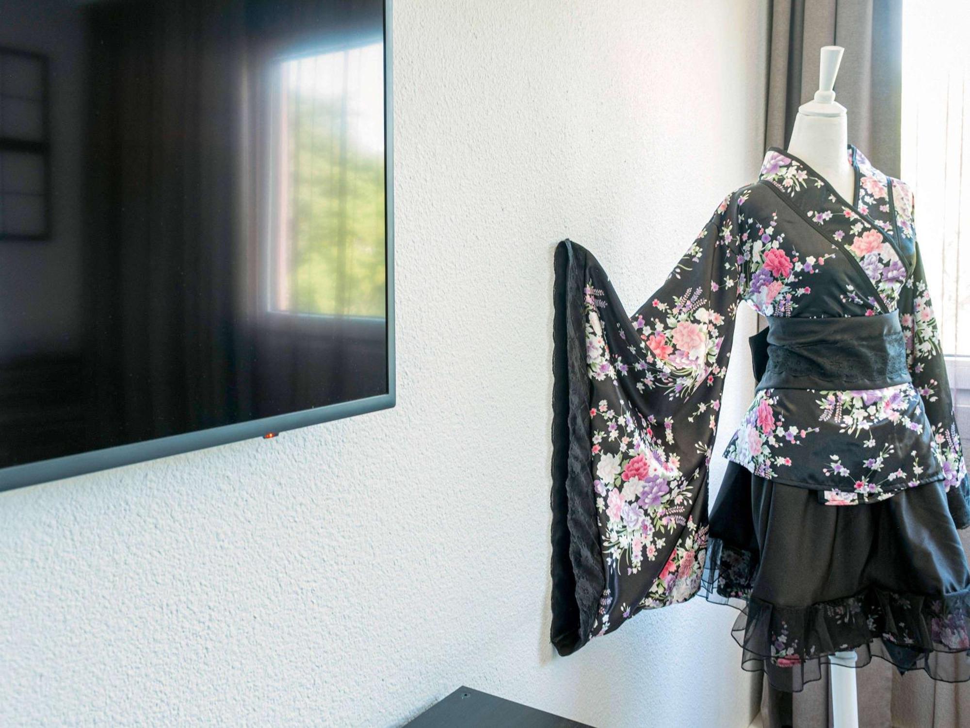 Hotel Ibis Styles 3*
